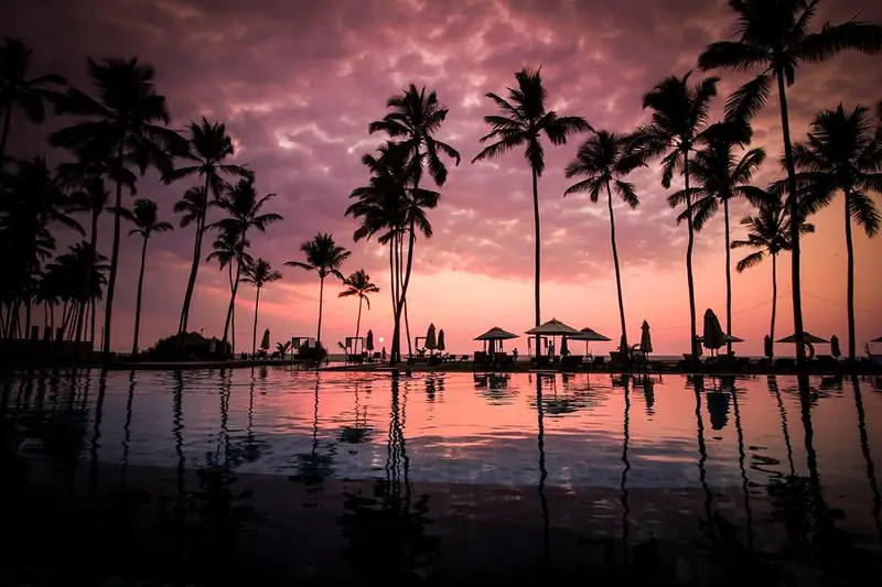 Piscina ao pôr do sol com coqueiros